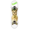 Yocaher Graphic Complete 7.75" Skateboard - Cool Pup French Bulldog