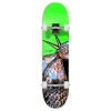 Yocaher Graphic Complete 7.75" Skateboard - The Bird Green